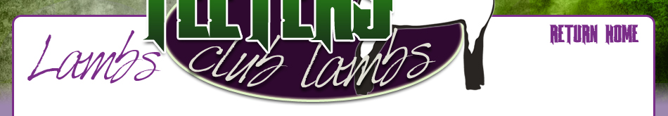 Lambs