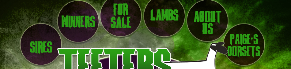 Teeters Club Lambs : Hillsboro, Ohio